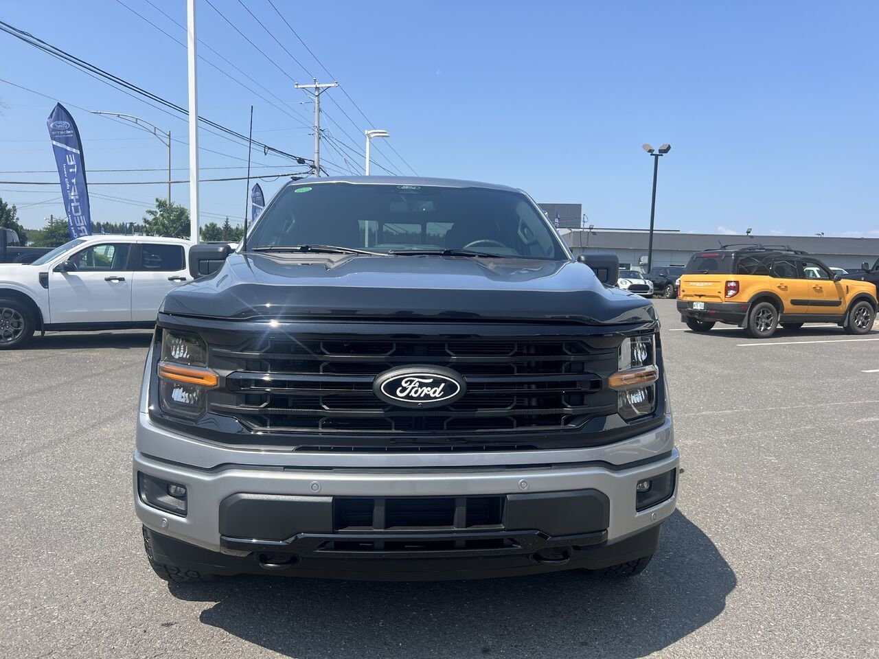 Ford F-150 2026 Gris Montmagny - photo #8