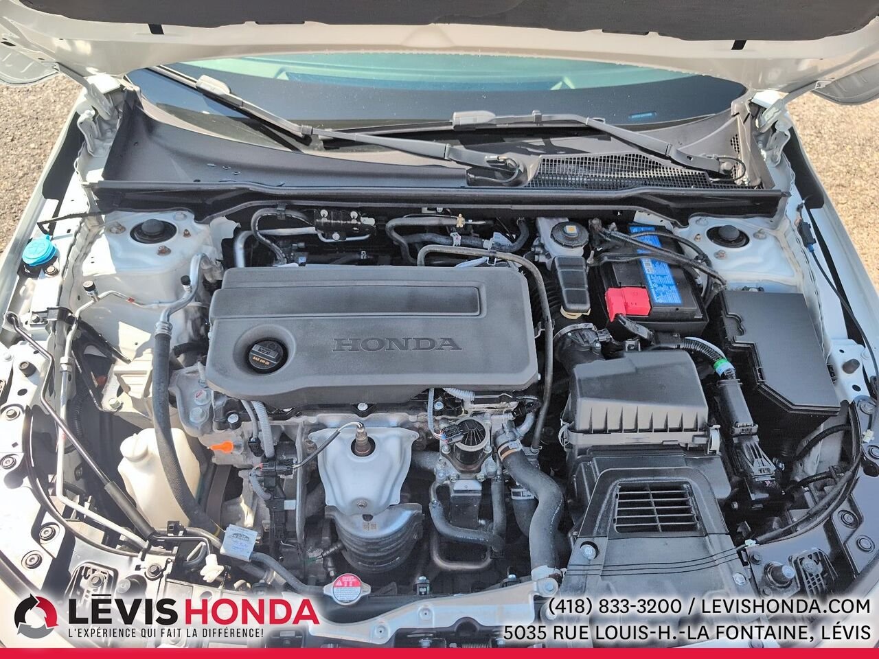 Honda Civic LX LX CVT 2025 Blanc Lévis - photo #15