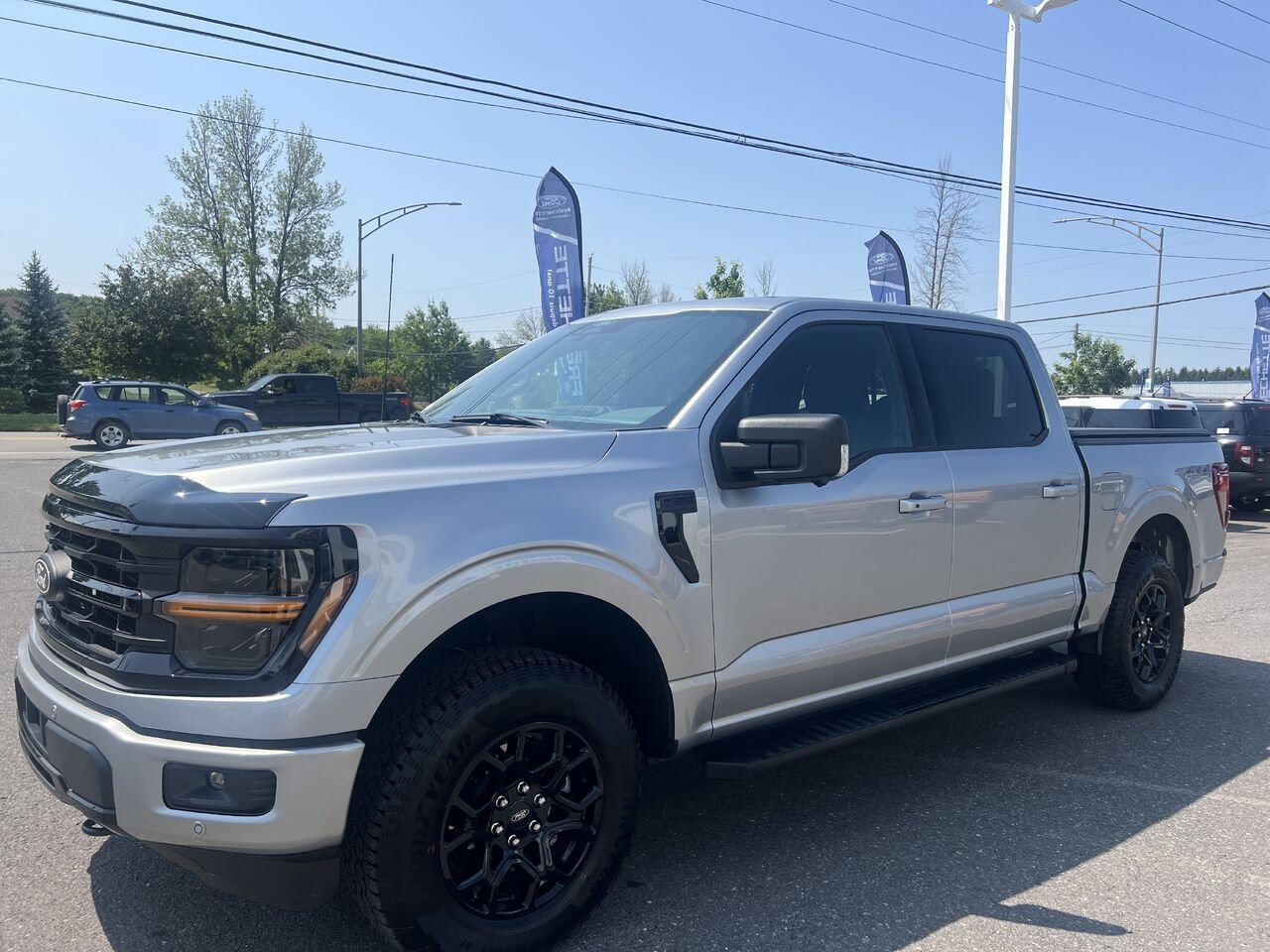 Ford F-150 2026 Gris Montmagny - photo #7