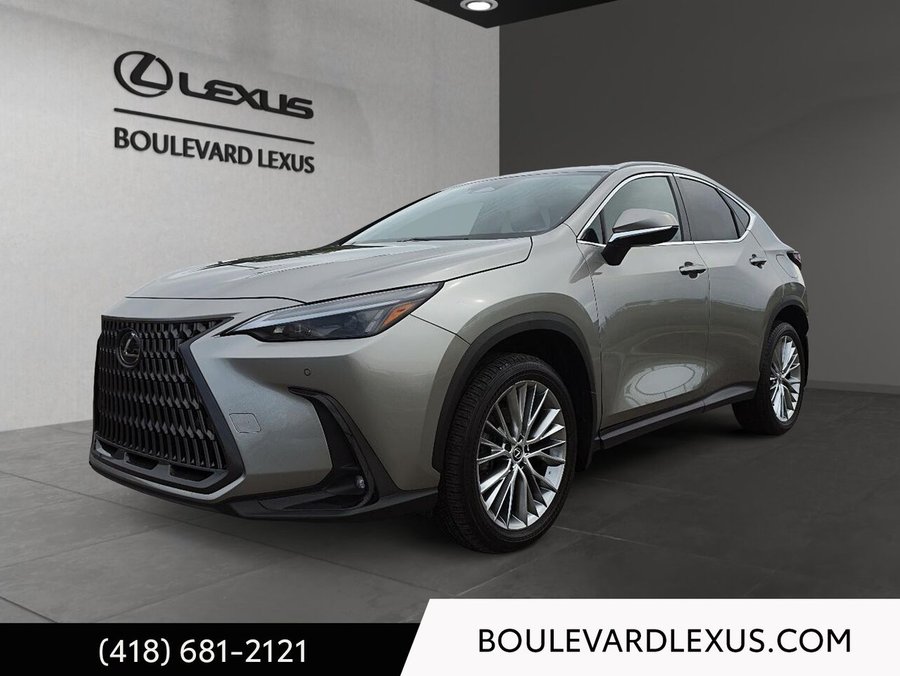 Lexus NX 2024 2024 Argent