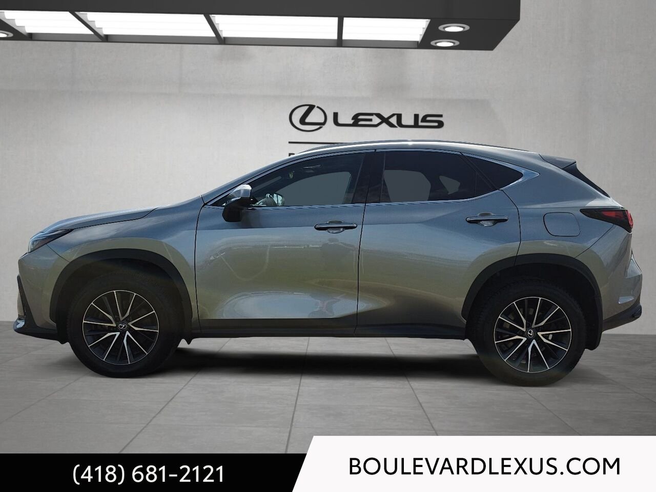 Lexus NX 19935A | NX 350h TI 2024 Argent Québec - photo #5