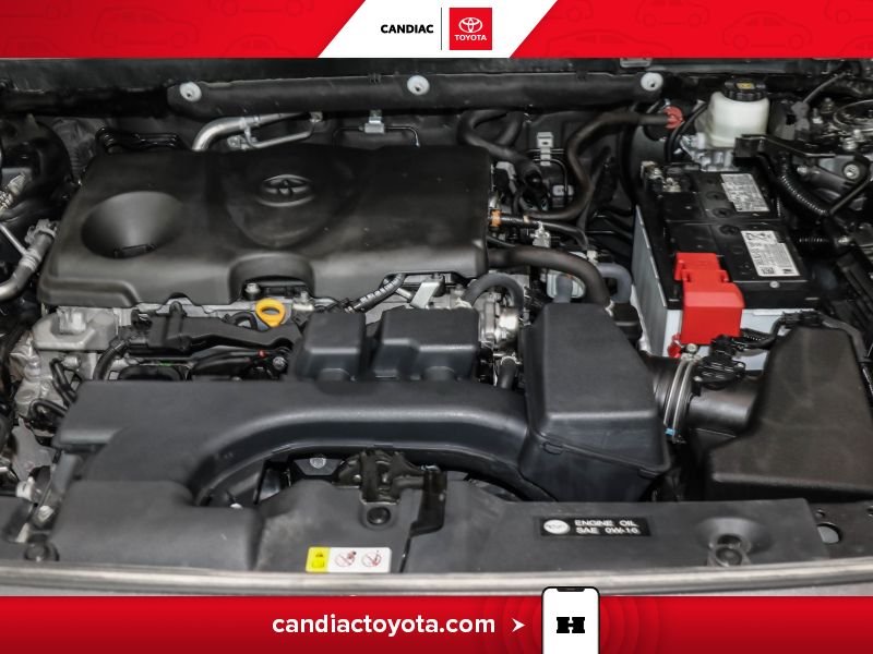 Toyota Rav 4 TR04038 | XLE AWD - MAGS - HAYON ÉLECTRIQUE - CAMÉRA RECUL 2024 Gris Laval - photo #36