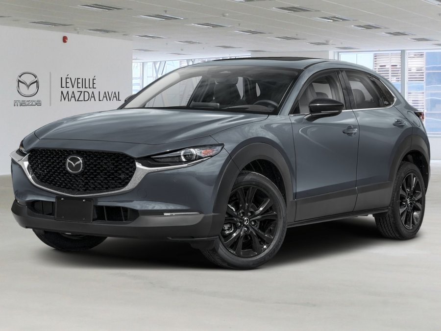 Mazda CX-30 2026 2026 Gris polymétal métallisé