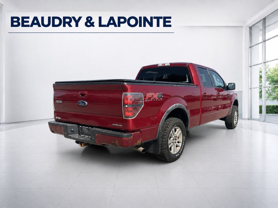 Ford F-150 2014 2014 Rouge