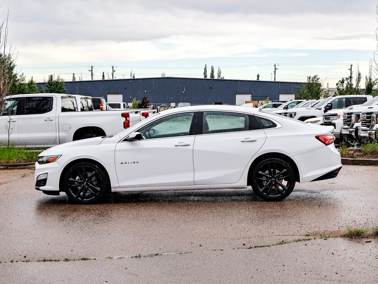 2024 Chevrolet Malibu 4dr Sdn 1LT White Sherwood Park - photo #9