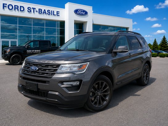 2019 Ford EXPLORER 2019 gray