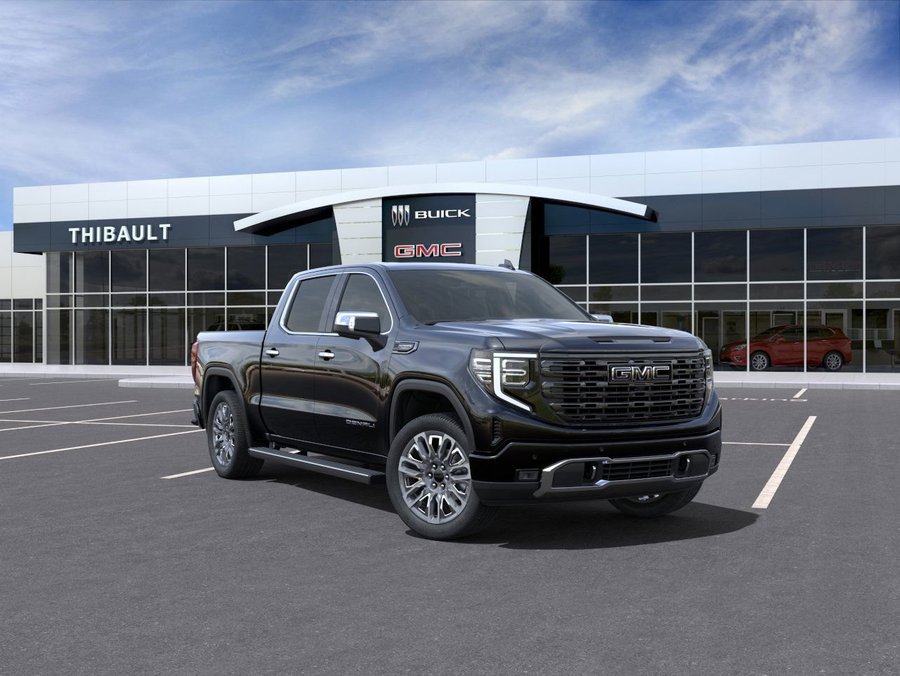 2025 GMC Sierra 1500 2025 Onyx Black