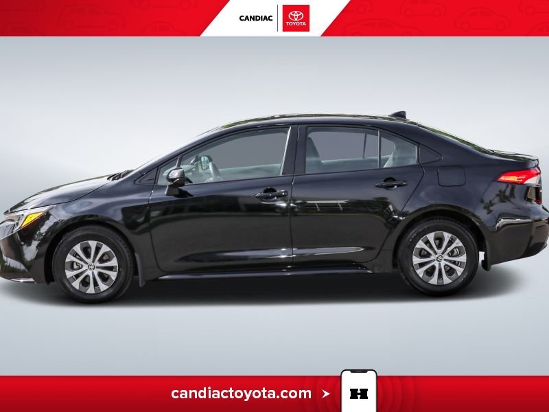 Toyota Corolla 2023 2023 Noir