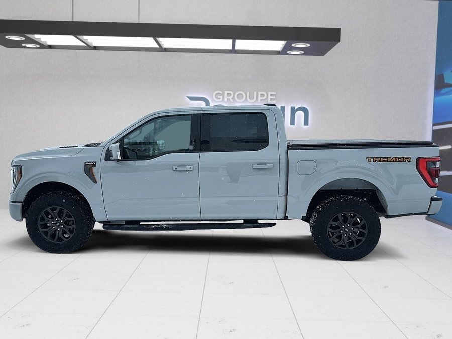 2023 Ford F-150 2023 White