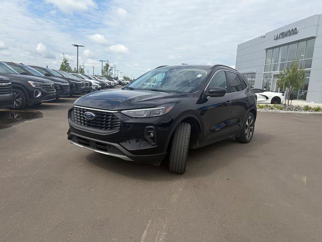 2025 Ford Escape Platinum AWD Black Sherwood Park - photo #2