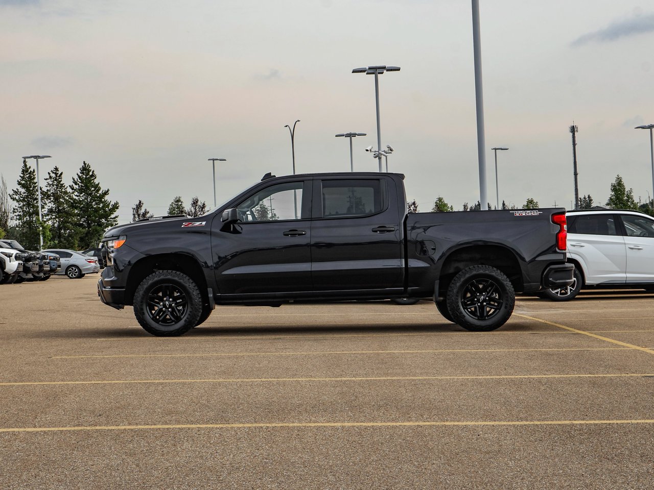 2024 Chevrolet Silverado 1500 4WD Crew Cab 147 Custom Trail Boss Grey Sherwood Park - photo #4