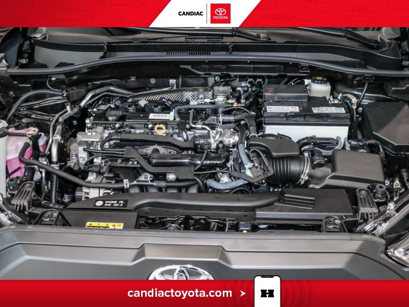 2026 Toyota Corolla Black Blainville - photo #34