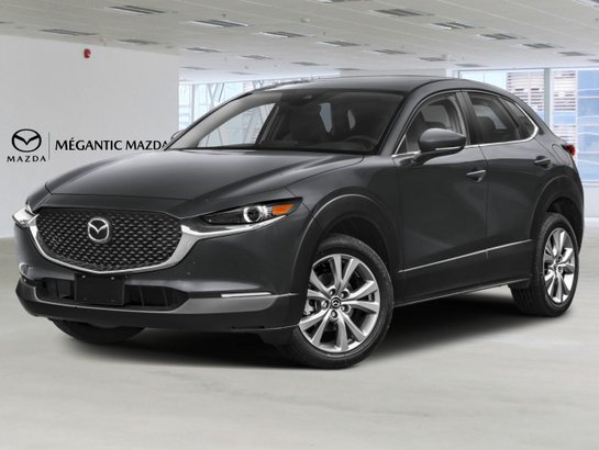 Mazda CX-30 2026 2026 Gris mécanique métallisé