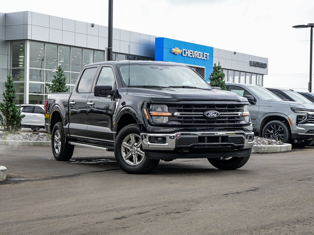 2025 Ford F-150 XLT 4WD SuperCrew 5.5' Box Black Sherwood Park - photo #1