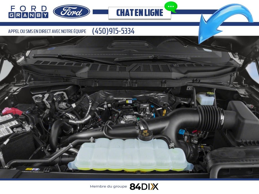 Ford F-150 2023 Vert