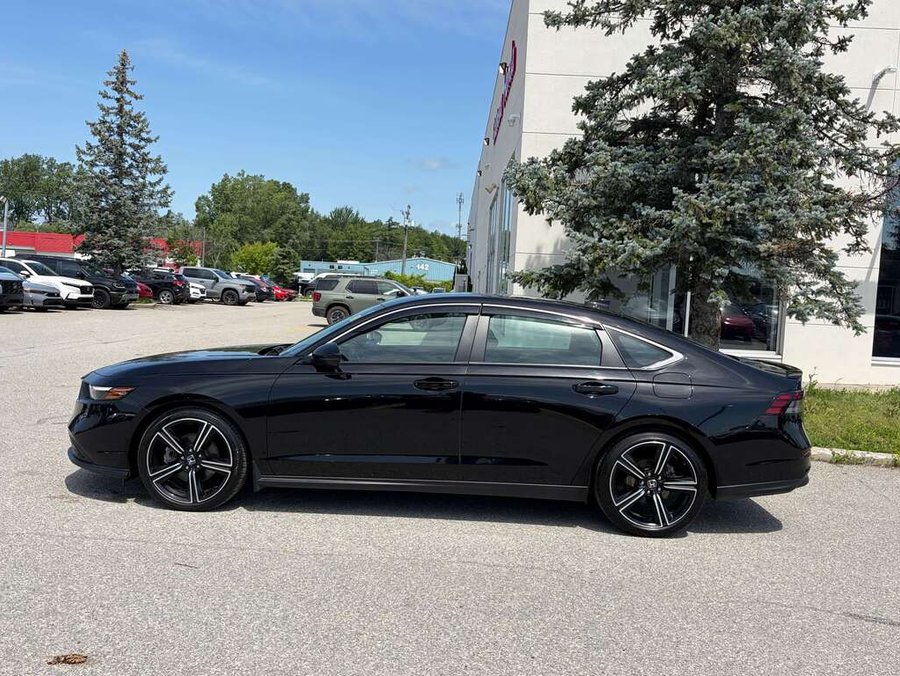2024 Honda Accord 2024 Black