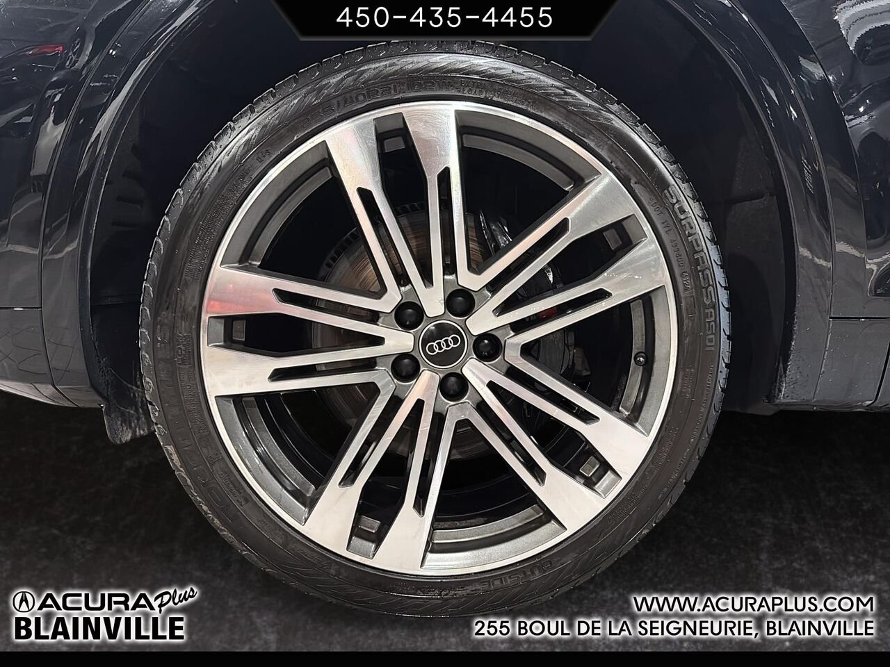 Audi SQ5 2023 Noir Blainville - photo #6