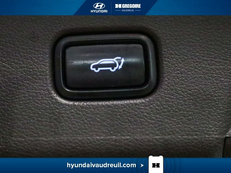 Hyundai Palisade 2023 Blanc Saint-Eustache - photo #41