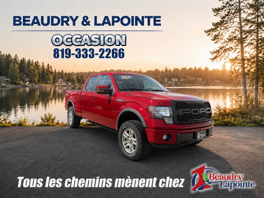 Ford F-150 2014 2014 Rouge