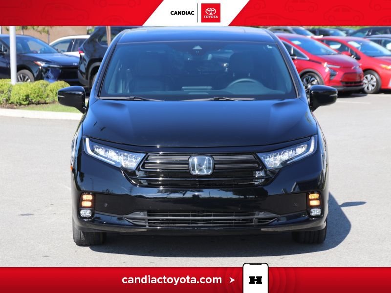 2024 Honda Odyssey Black Laval - photo #2