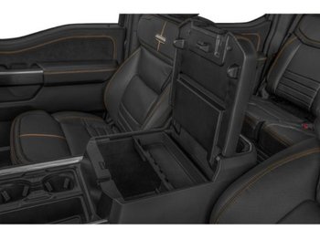 Ford Super Duty F-250 SRW Platine
