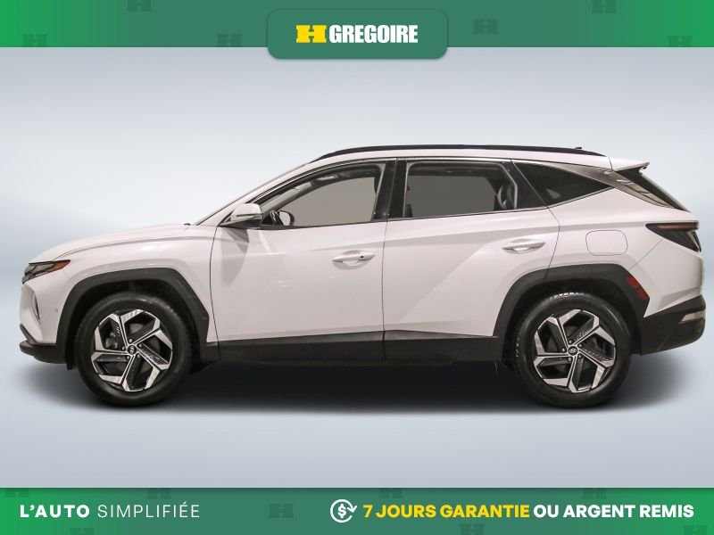 Hyundai Tucson 2023 Blanc Blainville - photo #4