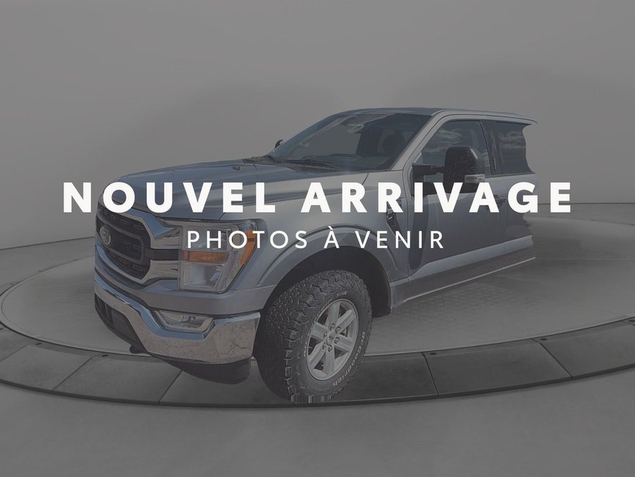 2022 Ford F-150 2022 Grey