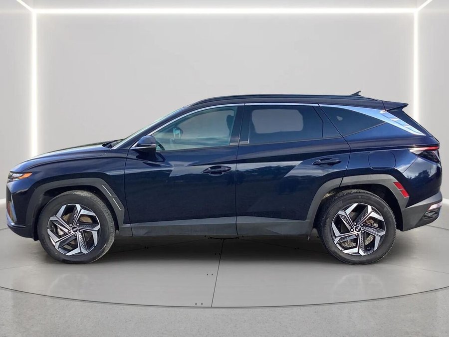 2023 Hyundai Tucson Hybrid 2023 Blue