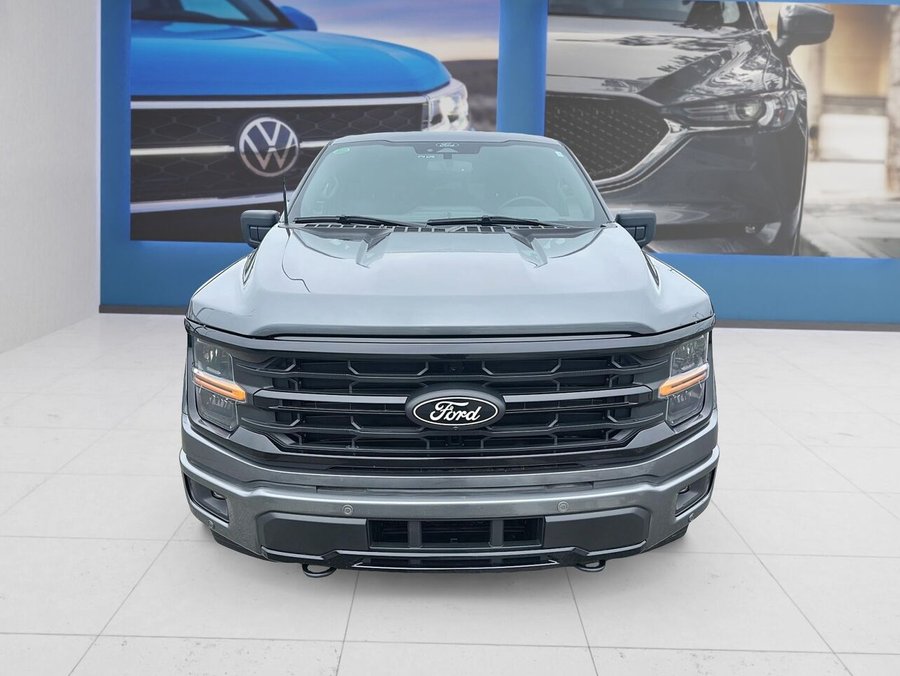 2025 Ford F-150 2025 Grey