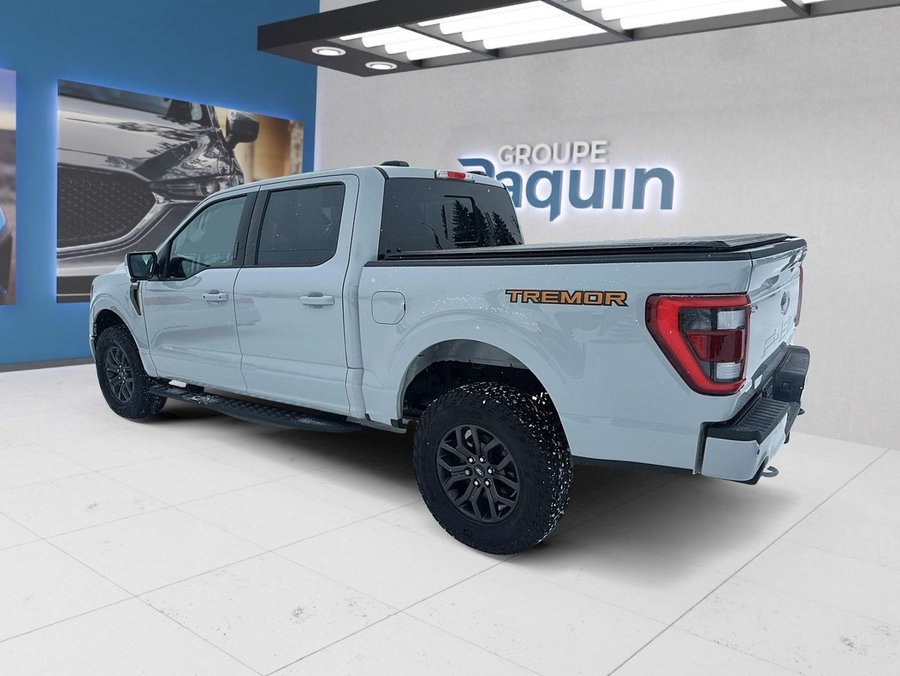 2023 Ford F-150 2023 White