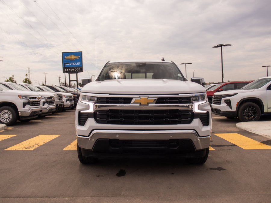 2024 Chevrolet Silverado 1500 2024 White