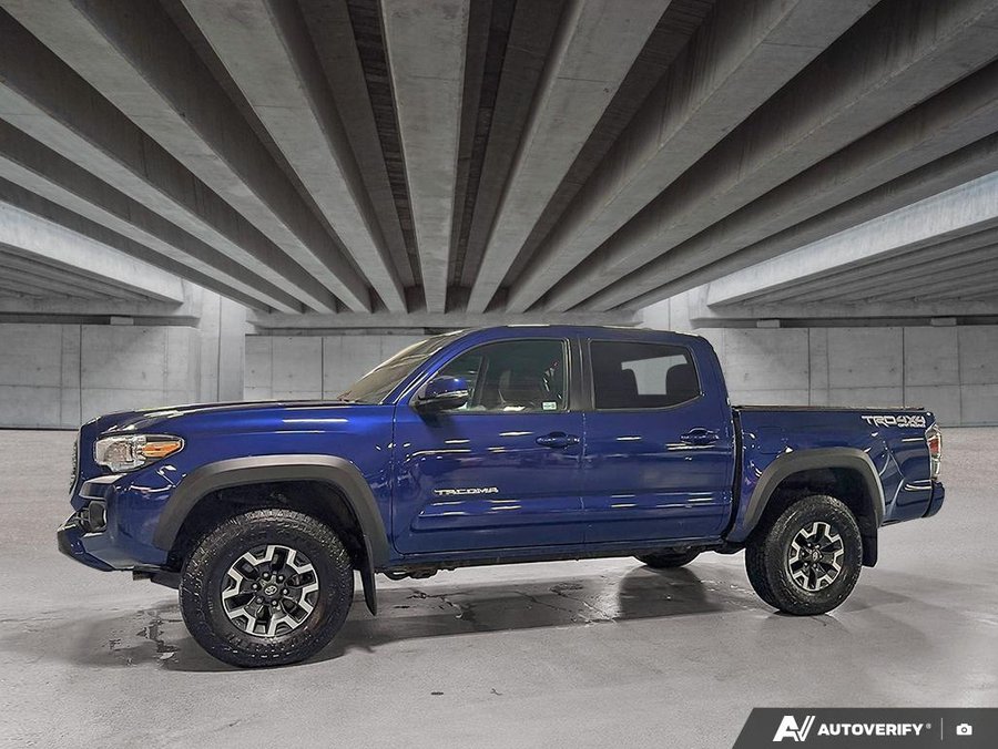 2023 Toyota Tacoma 2023 Blue