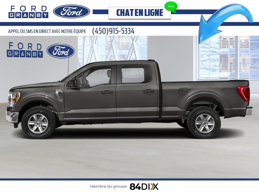 Ford F-150 XL/XLT/LARIAT/King Ranch/Platine/Tremor 2023 Gris
