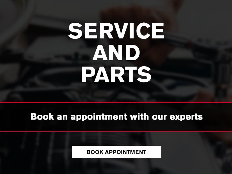 Service
