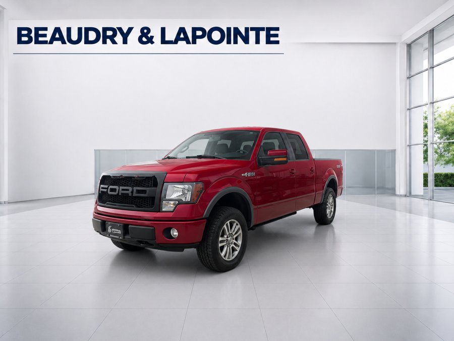 Ford F-150 2014 2014 Rouge