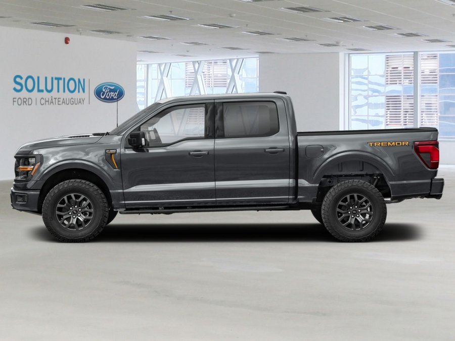 Ford F-150 2026 Gris carbonisé métallisé