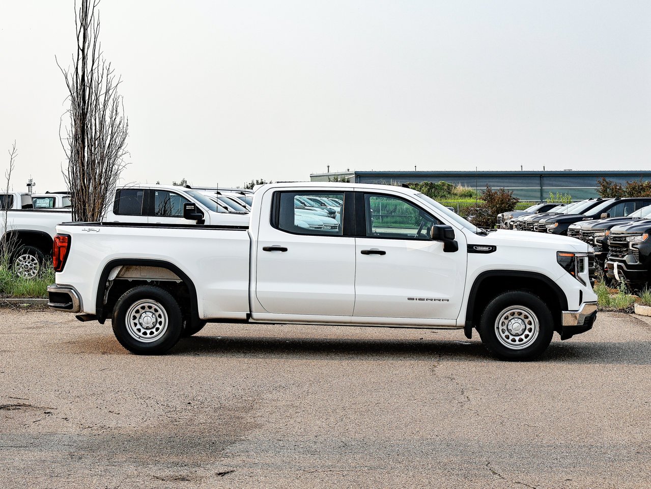 2024 GMC Sierra 1500 4WD Crew Cab 147 Pro White Sherwood Park - photo #13