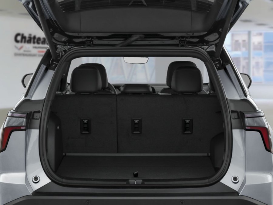 CHEVROLET Equinox EQUINOX RS 1.5L TURBO AWD (2RS) 2027 Noir mosaïque métallisé