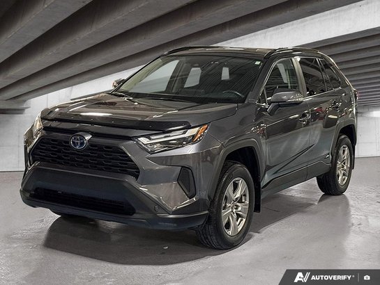 2023 Toyota RAV4 2023 gray