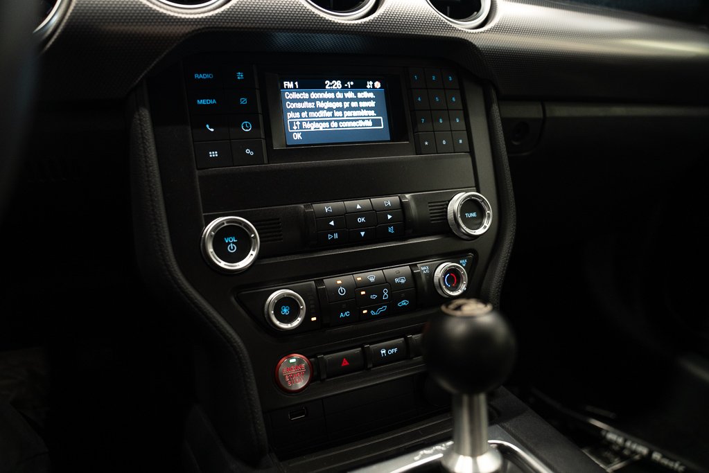2021 Ford Mustang GT * SUPER SNAKE * Grey Kirkland - photo #12