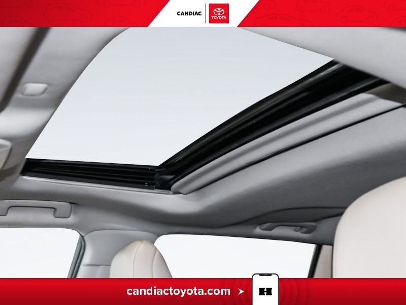 2022 Toyota Highlander Blue Laval - photo #30