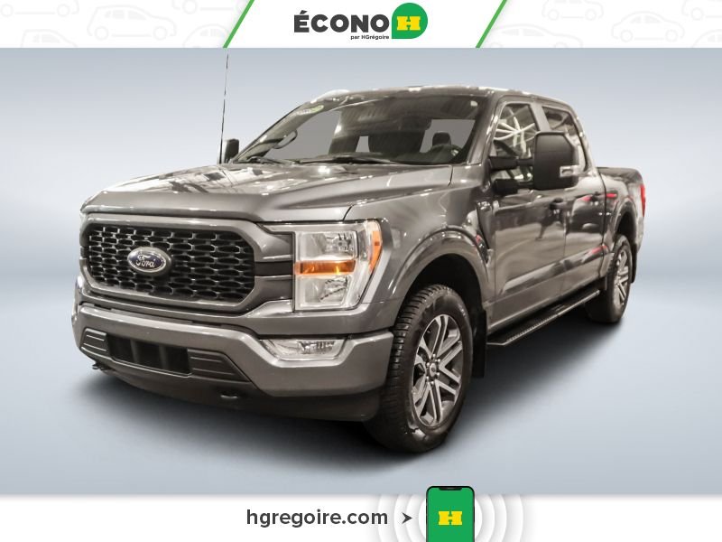 Ford F150 2022 Gris Laval - photo #2