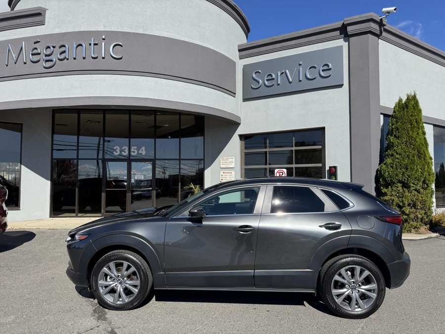 Mazda CX-30 2024 2024 Gris