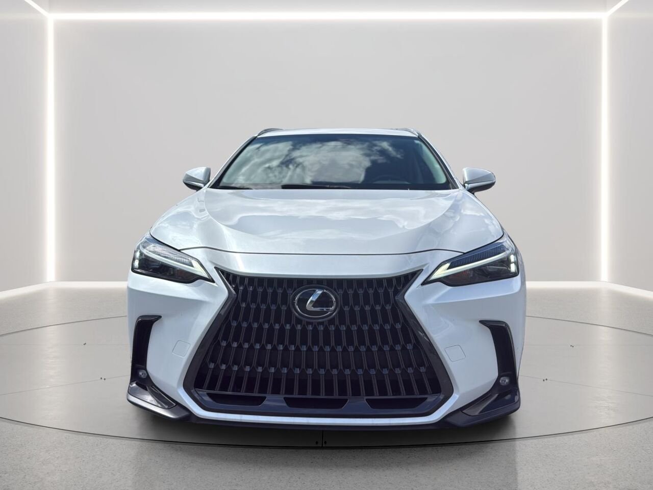 2025 Lexus NX White Gatineau - photo #7