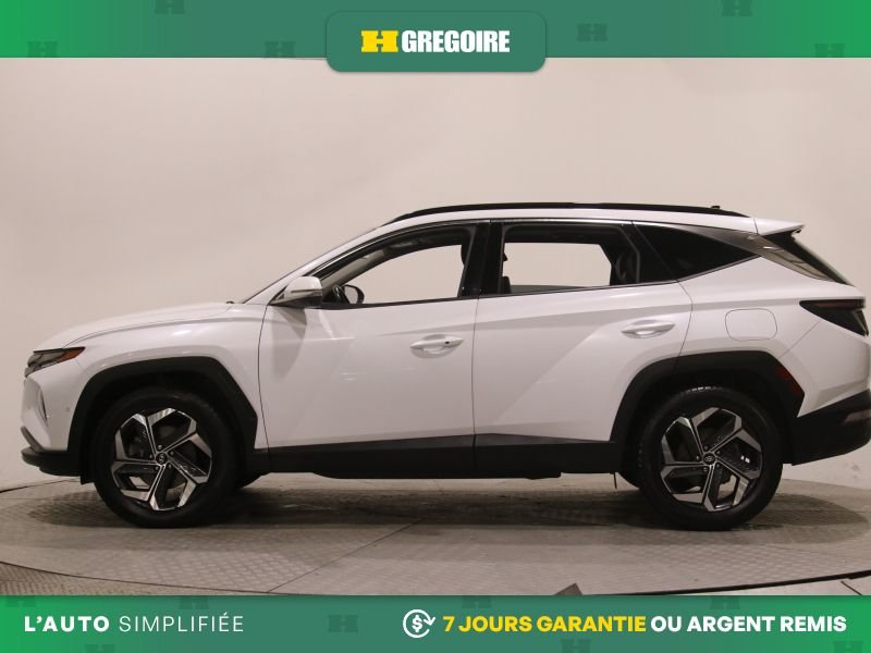 2023 Hyundai Tucson White Laval - photo #4