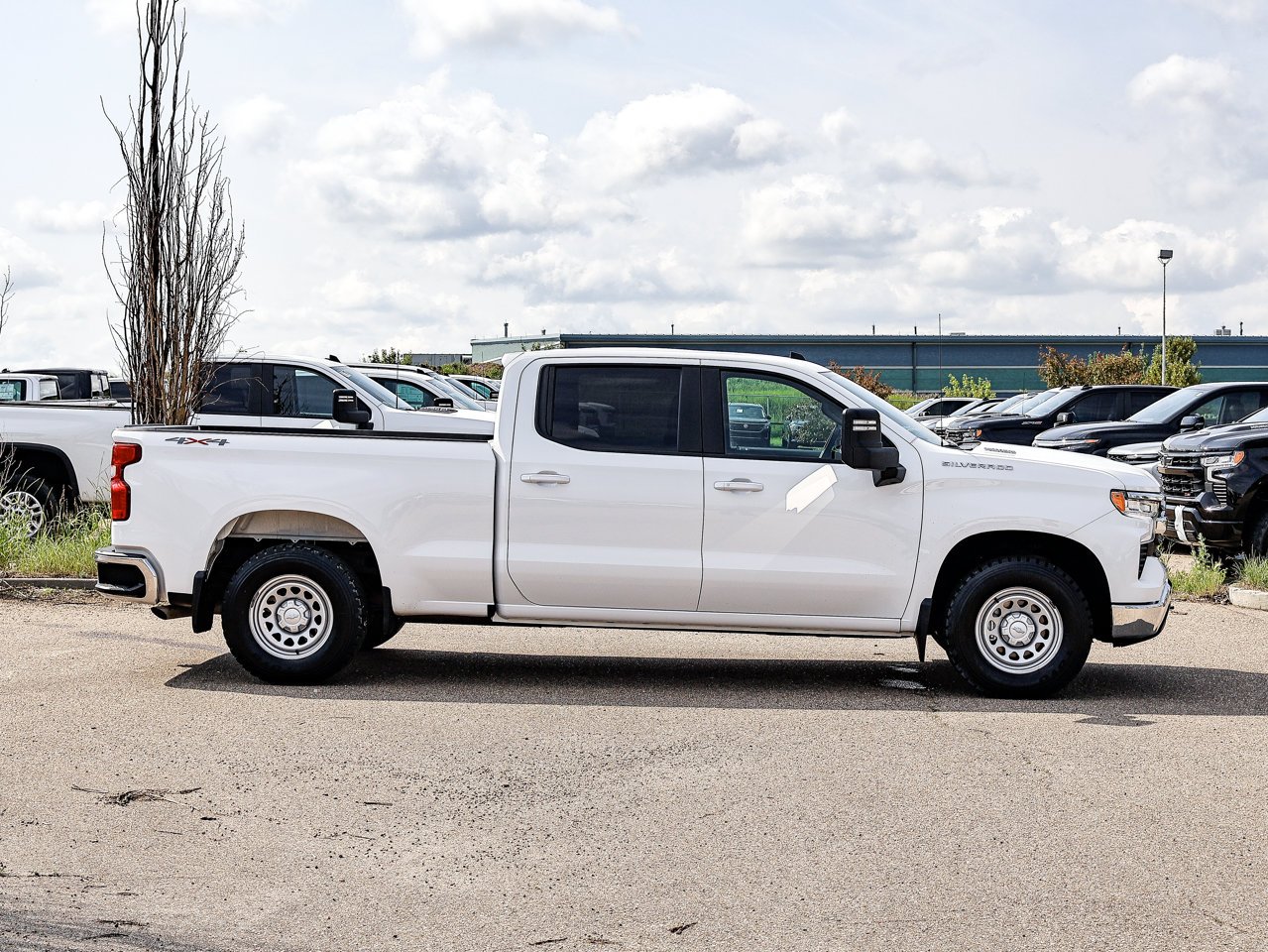 2025 Chevrolet Silverado 1500 4WD Crew Cab 147 LT White Sherwood Park - photo #13