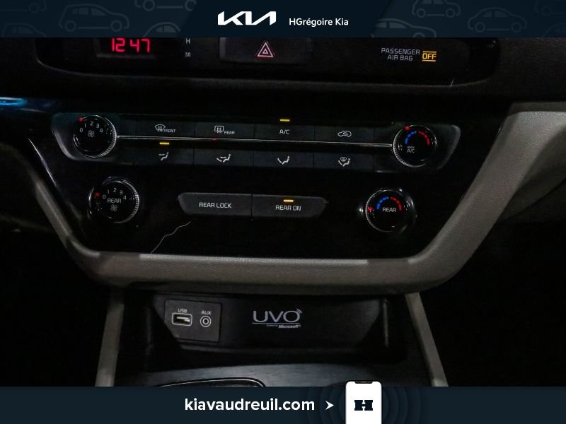 Kia Sedona 2016 Gris Saint-Eustache - photo #23