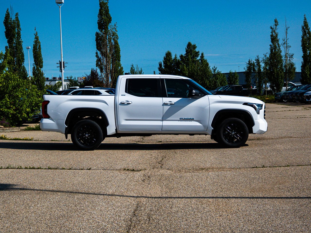 2025 Toyota Tundra 4x4 Crewmax SR White Sherwood Park - photo #13