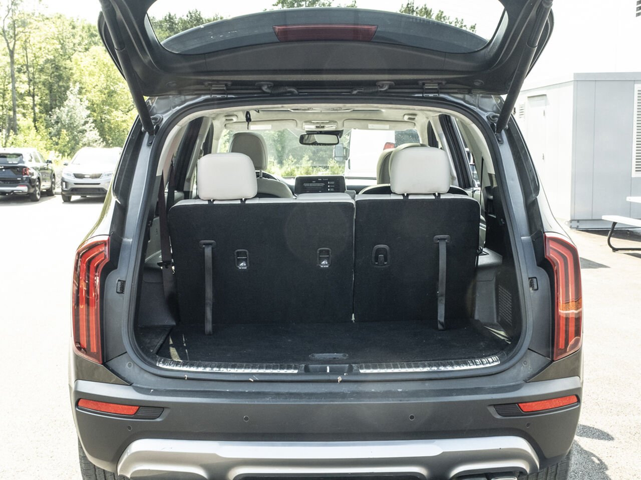 2021 Kia Telluride Green Gatineau - photo #5