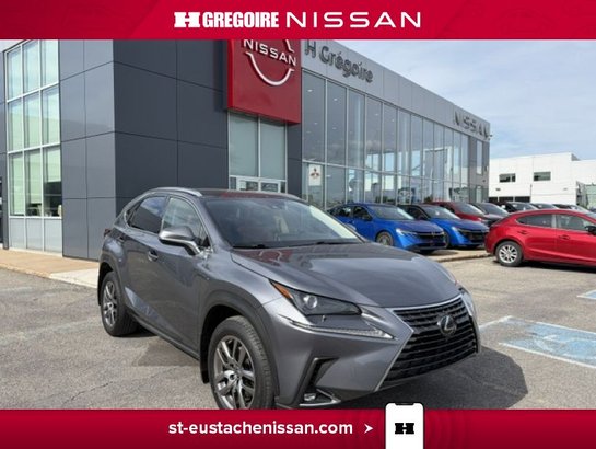 2021 Lexus NX 2021 Grey